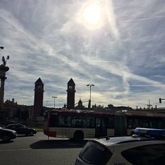 IMG 258